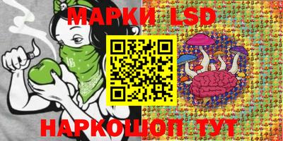 индика Краснознаменск