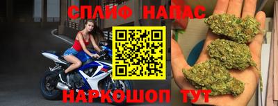индика Краснознаменск
