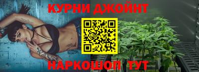 индика Краснознаменск