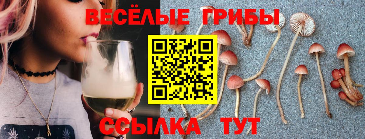 Псилоцибиновые грибы MAGIC MUSHROOMS  Вход с VPN  Шарыпово  Псилоцибиновые грибы мухоморы 
