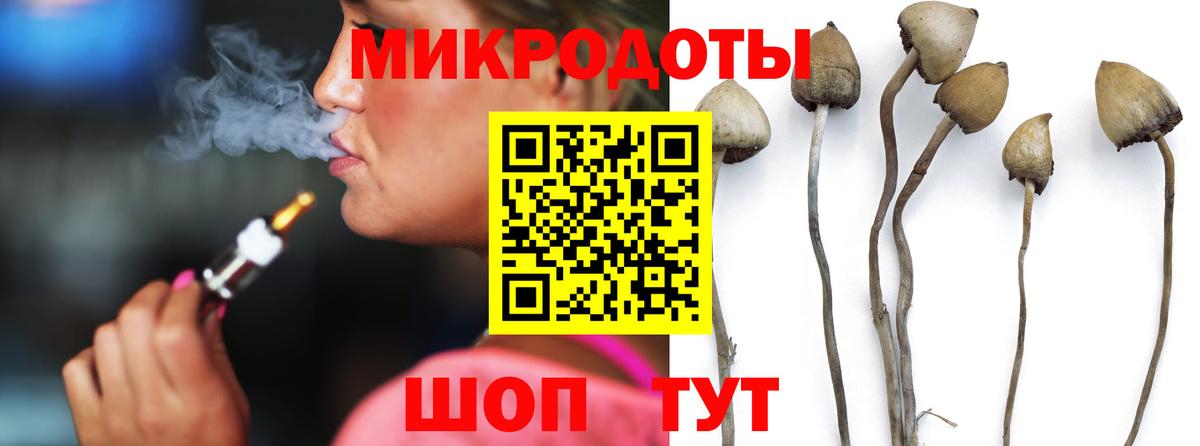 Псилоцибиновые грибы Psilocybe Шарыпово